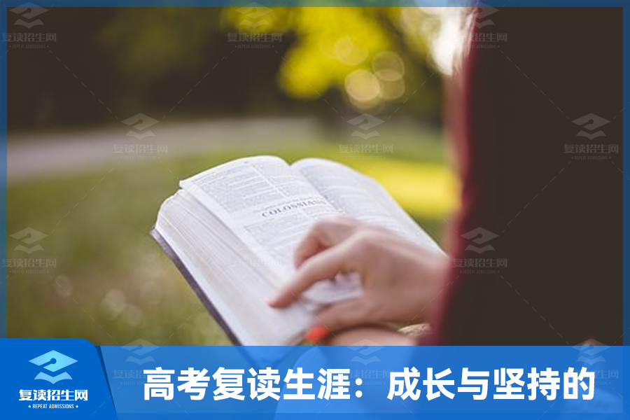 高考复读生涯:成长与坚持的见证