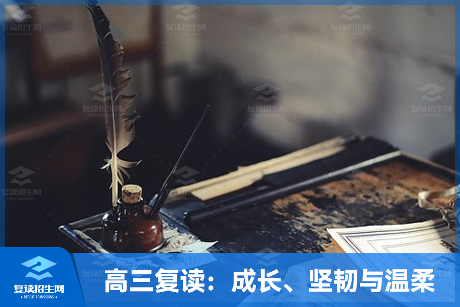 高三复读:成长、坚韧与温柔的见证