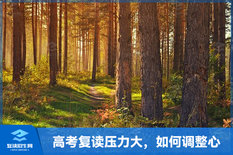 高考复读压力大,如何调整心态?