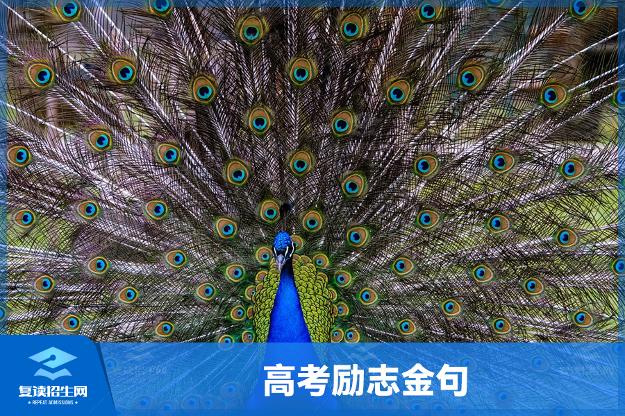 高考励志金句:努力拼搏,迎接未来