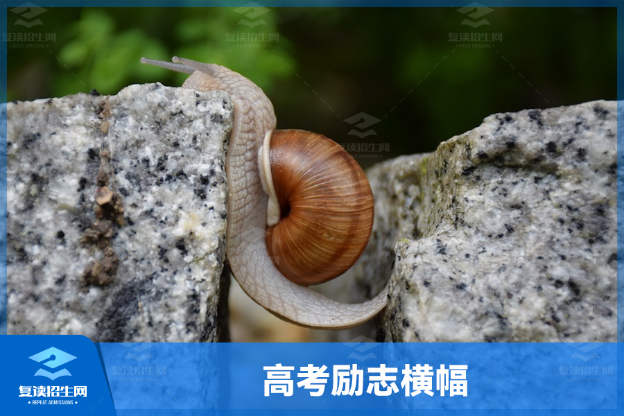 高考励志横幅:勇攀高峰,扬帆远航