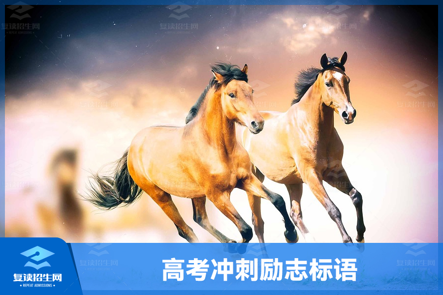 高考冲刺励志标语:梦想加速,前行不止