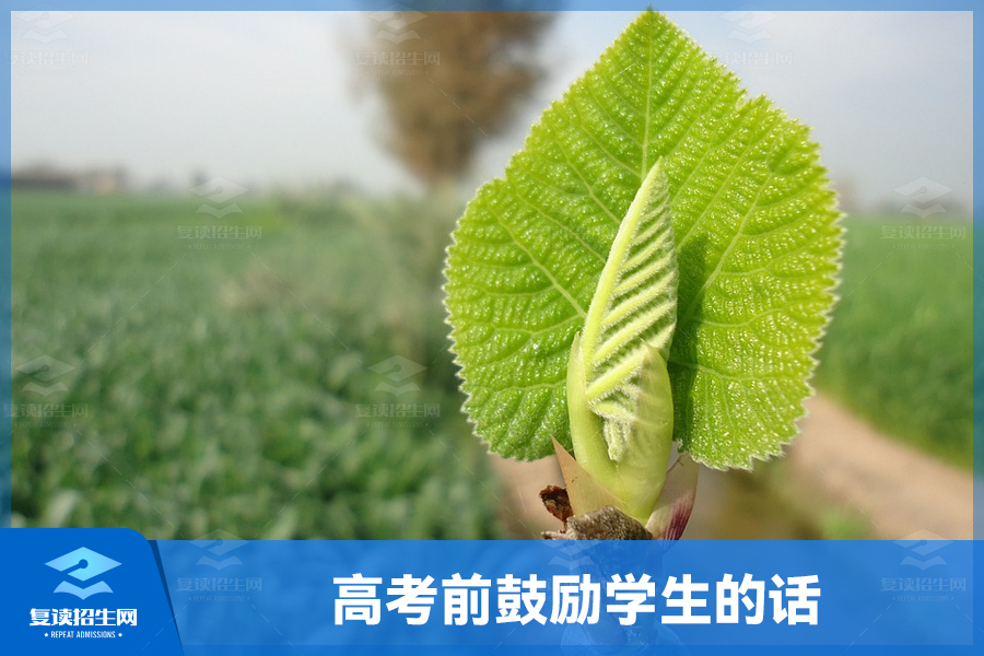 高考前鼓励学生的话:相信自己,追逐梦想