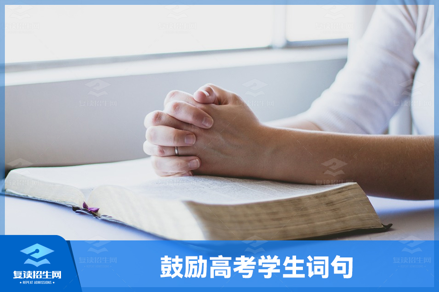高三学生,勇往直前,追逐梦想!