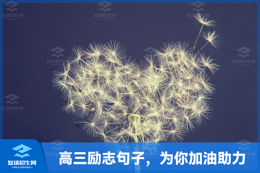 关于高三的励志句子,为你加油助力备战高考