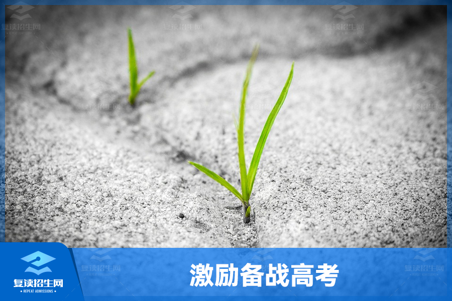 激励女儿备战高考,为她的未来加油助力