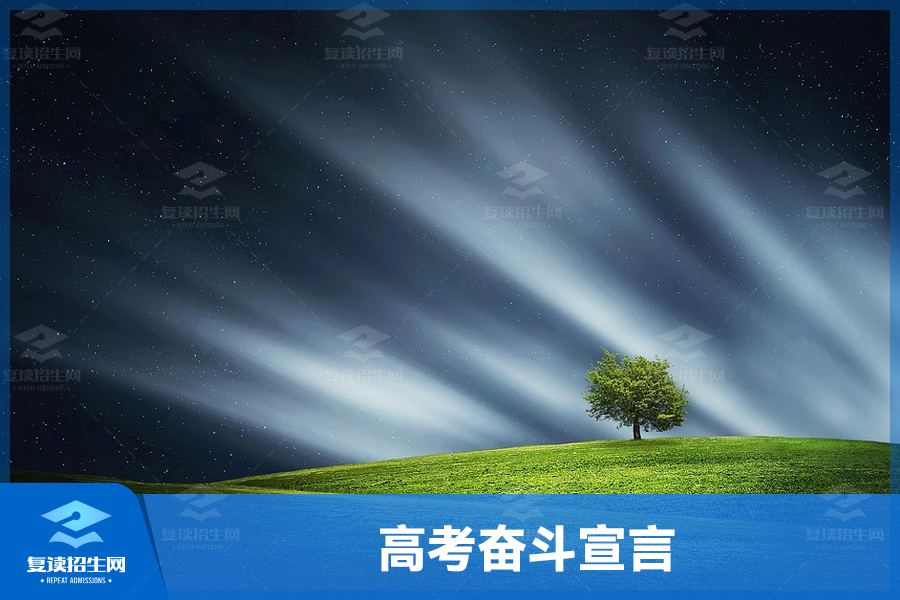 高考奋斗宣言,为未来而拼搏