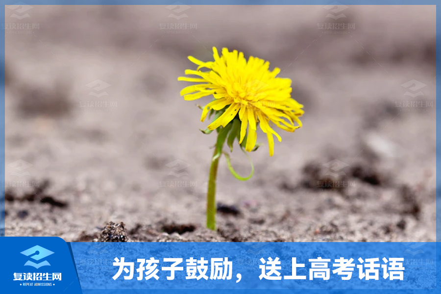 为孩子鼓励,送上高考话语