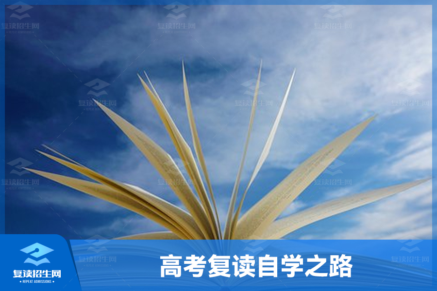高考复读自学之路:具备哪些素质才能走得更远?