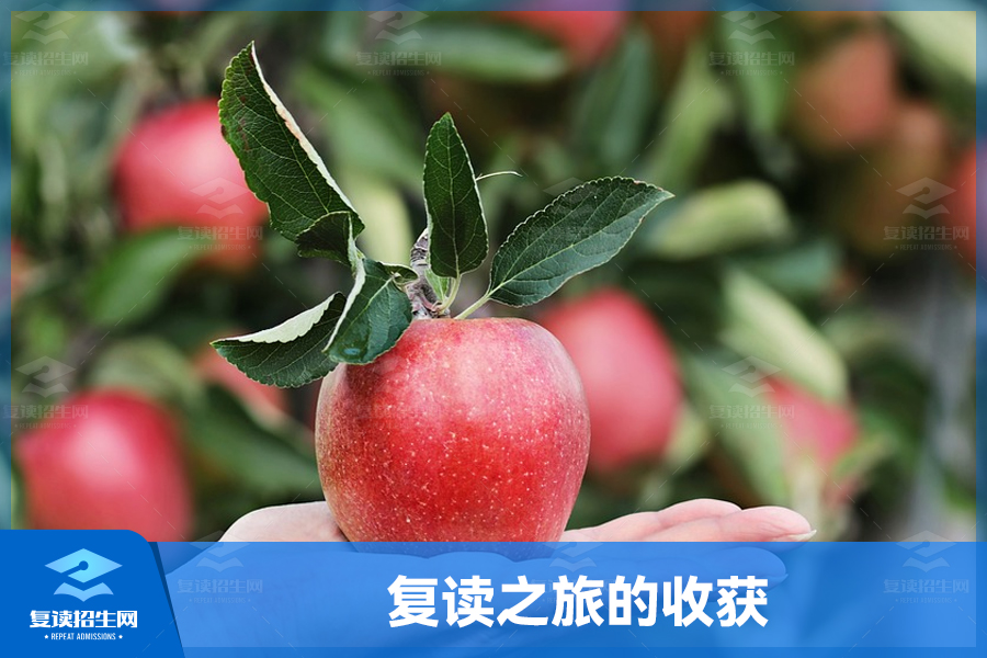 复读之旅,收获的不仅是成绩