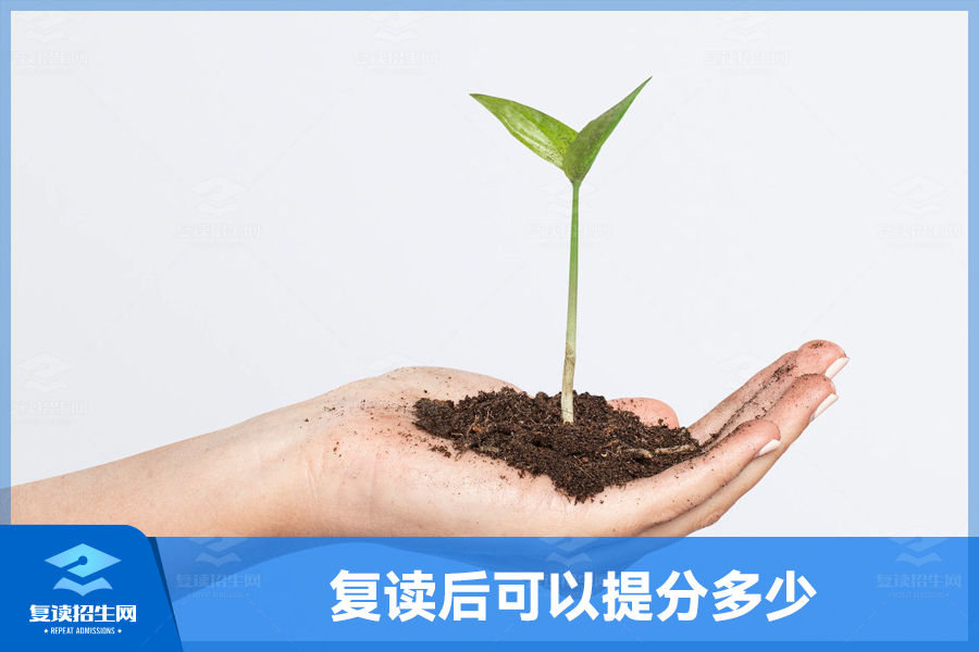 复读的升分密码:多少是足够的?