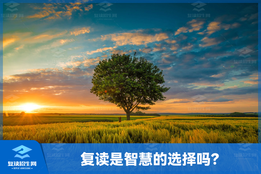高考失利,复读是智慧的选择吗?