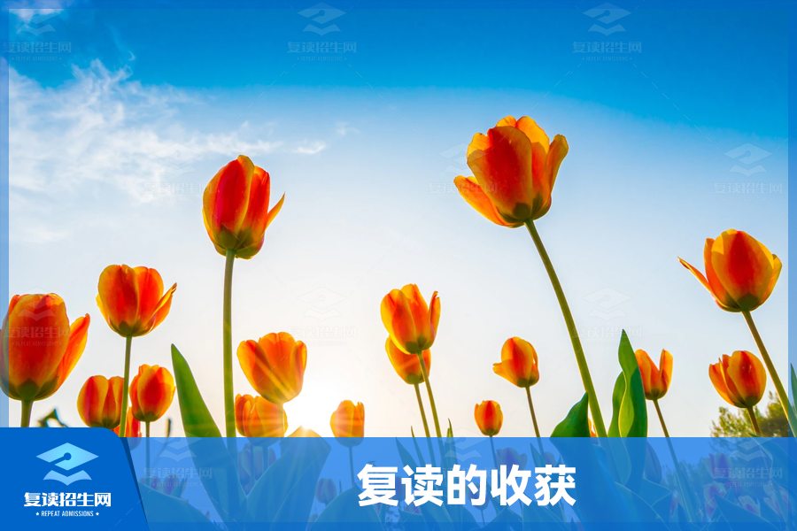 复读一年,我收获的远不止成绩的提升