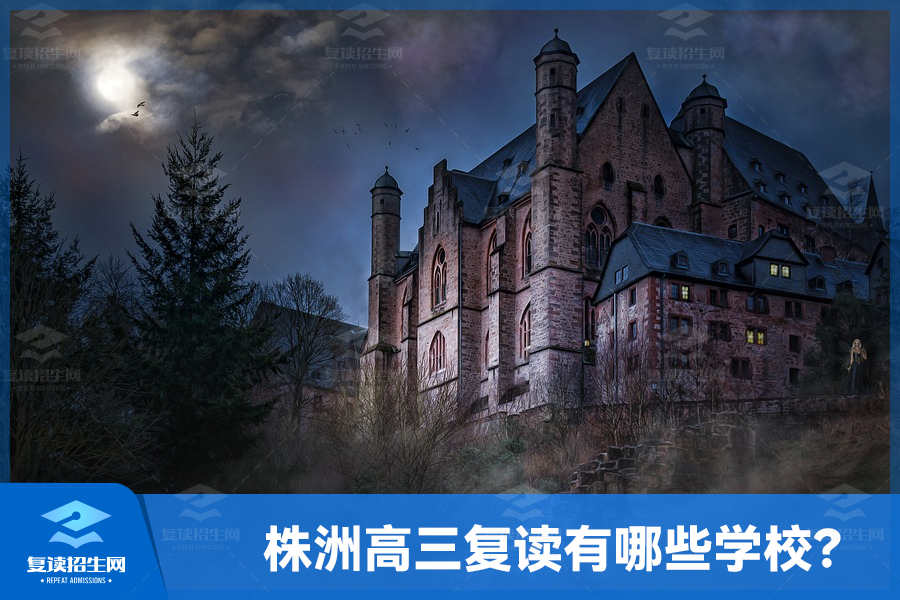 株洲高三复读有哪些学校,排名怎么样?