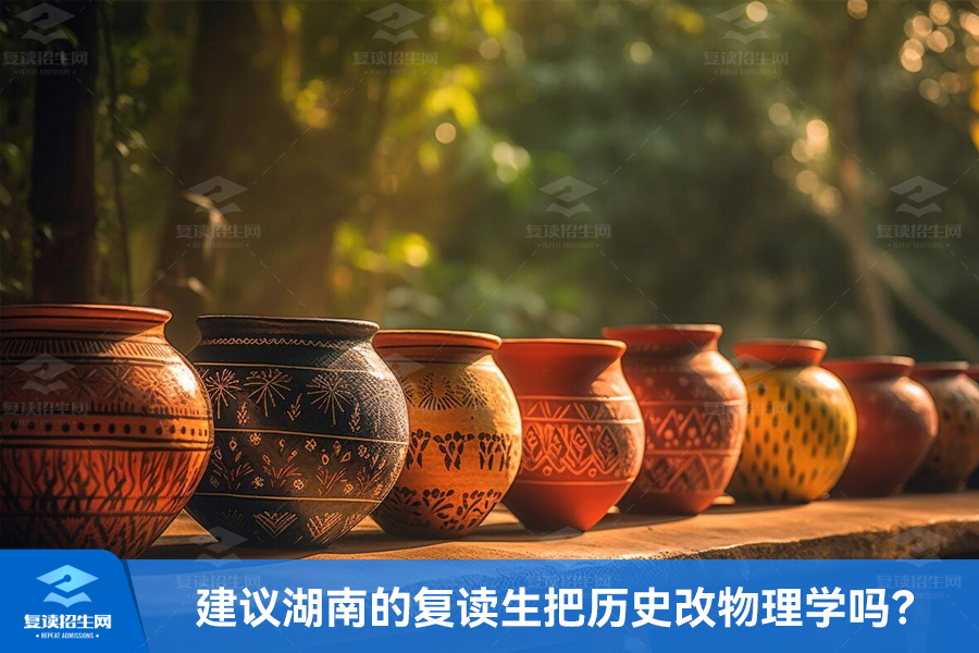 建议湖南的复读生把历史改物理学吗?