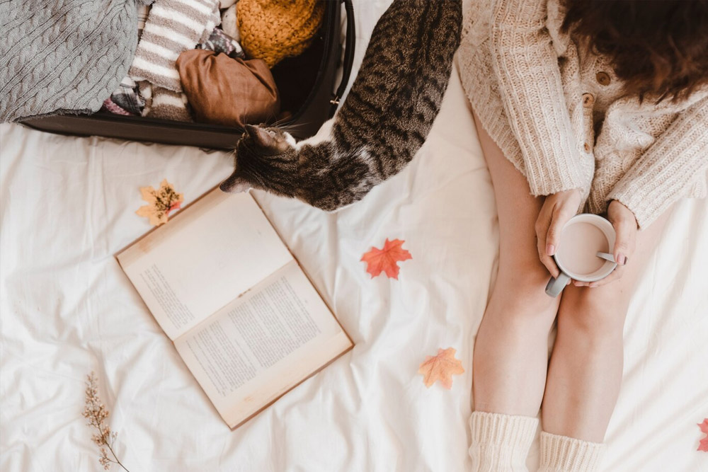 特长生单招:如何准备?有哪些陷阱需避免?