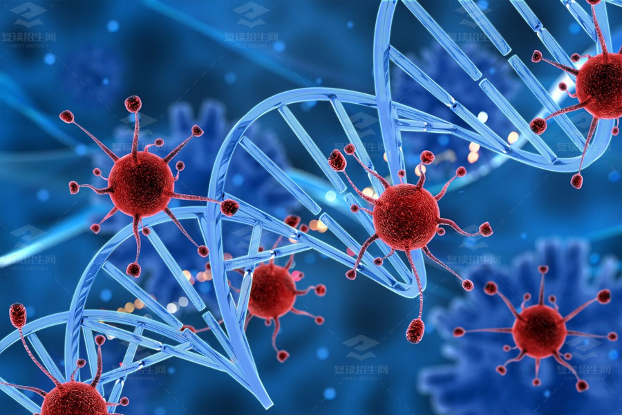 高中生物学习方法全攻略:提高成绩的五大秘诀