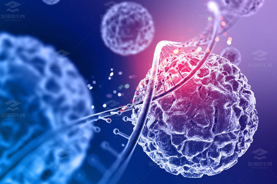 高中生物学习方法总结:五大策略助你轻松掌握