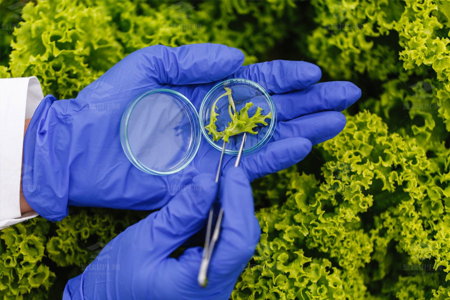 高三生物选择题蒙题技巧:如何快速提升成绩