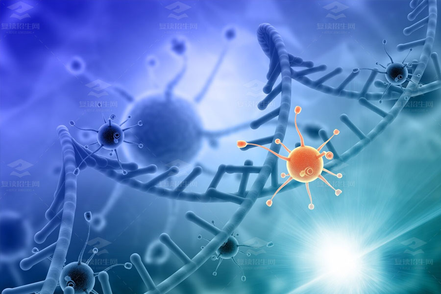 掌握高中生物学习策略：有效方法和技巧全解析