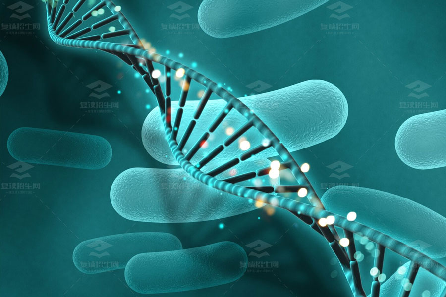 高三生物考点难点全攻略:克隆技术与遗传学奇迹,解锁高分秘籍!