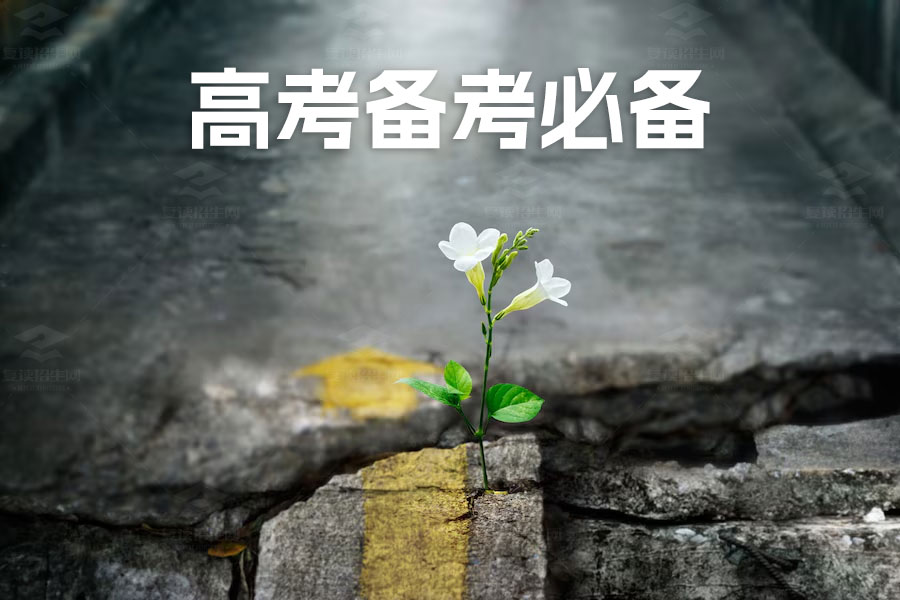 高考备考必备:高三考试复习技巧大揭秘!
