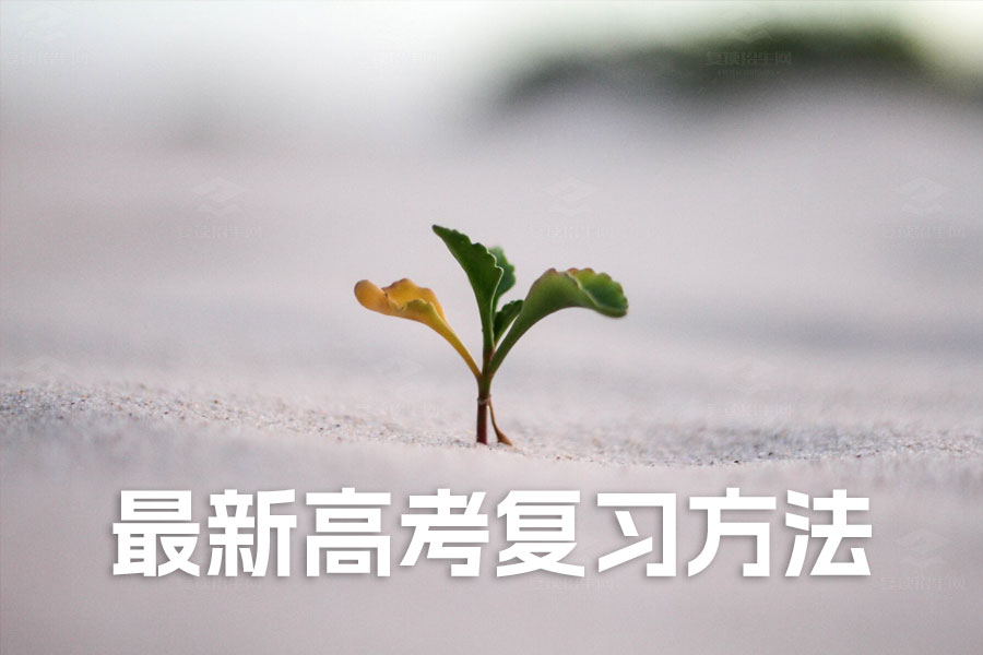 高考备战秘籍:最新高考复习方法大揭秘!