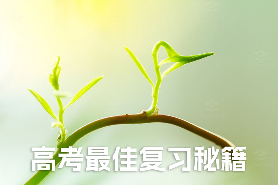 揭秘高考最佳复习秘诀:注重积累!