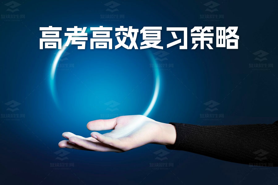 高考复习高效策略:五大技巧助你稳步提升