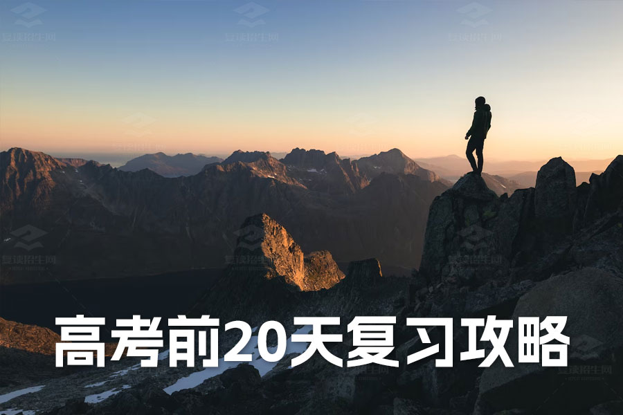 高考20天复习必备攻略