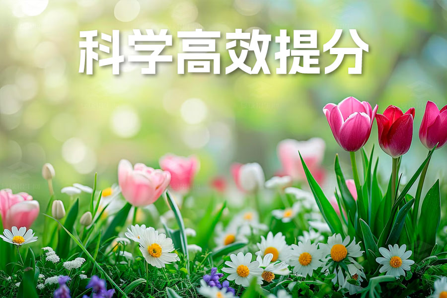 高考冲刺必备攻略:科学复习技巧助你高效提分