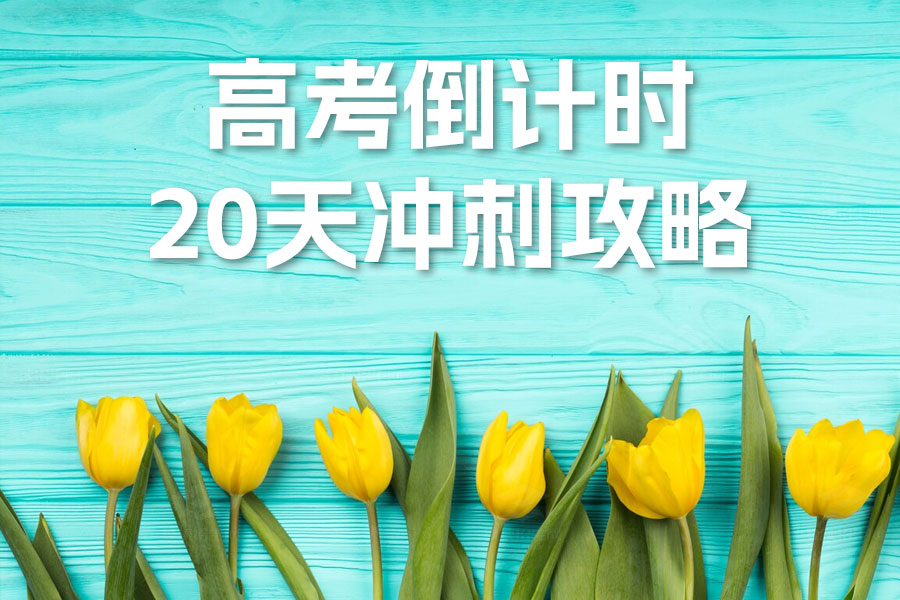 高考倒计时20天冲刺攻略:科学规划,全面提升应试能力