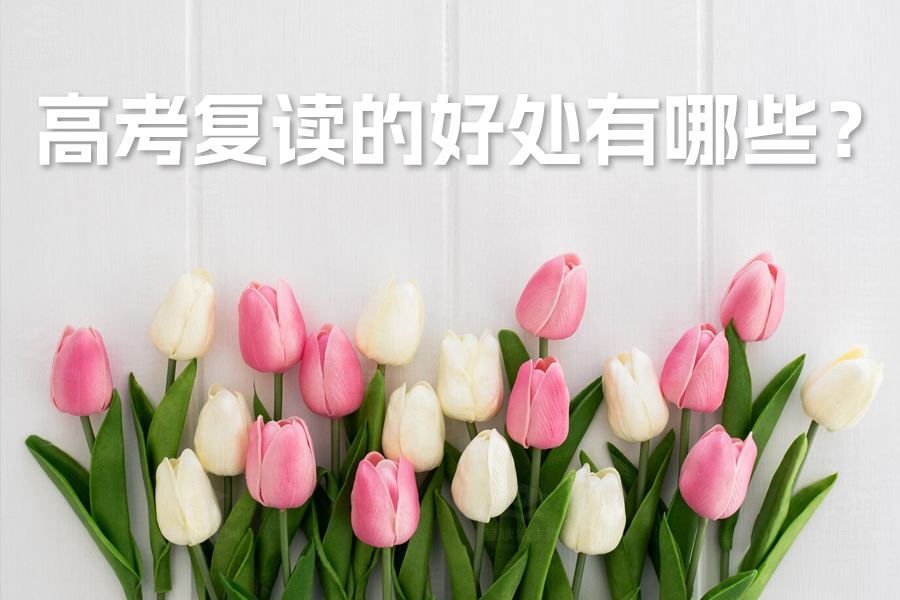 高考复读的七大优势:助你实现理想大学梦