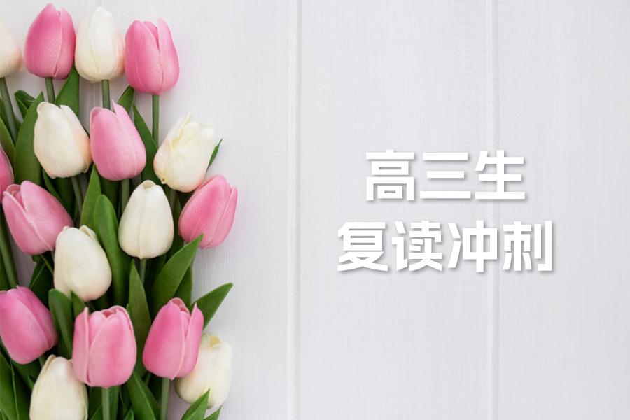 高三生复读冲刺全攻略:如何做好心理、物质和学习准备?