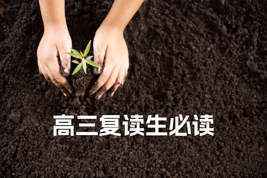 高三复读生必读:三大黄金建议,助你实现高考逆袭