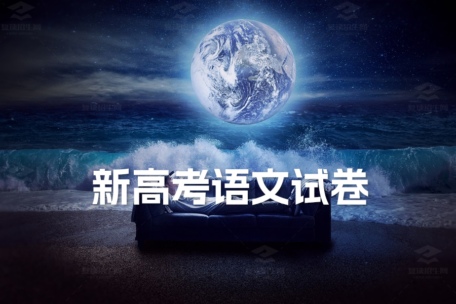 2024年新高考语文试卷全面解析——高分必备答题指南