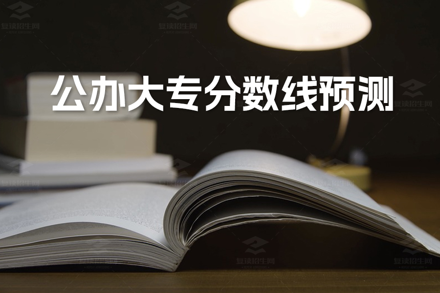 2024年公办大专分数线预测:了解最低分数线及择校建议