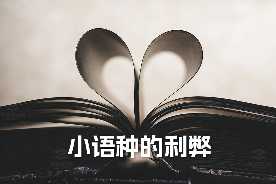 高考外语选小语种的利弊分析:全面解读与决策指南