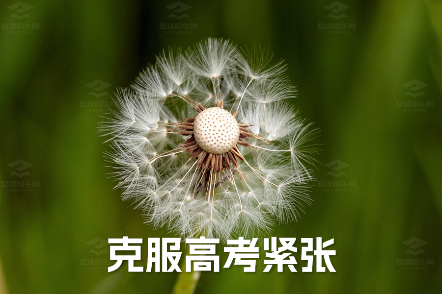 克服高考紧张的五大妙招,助你从容应考!