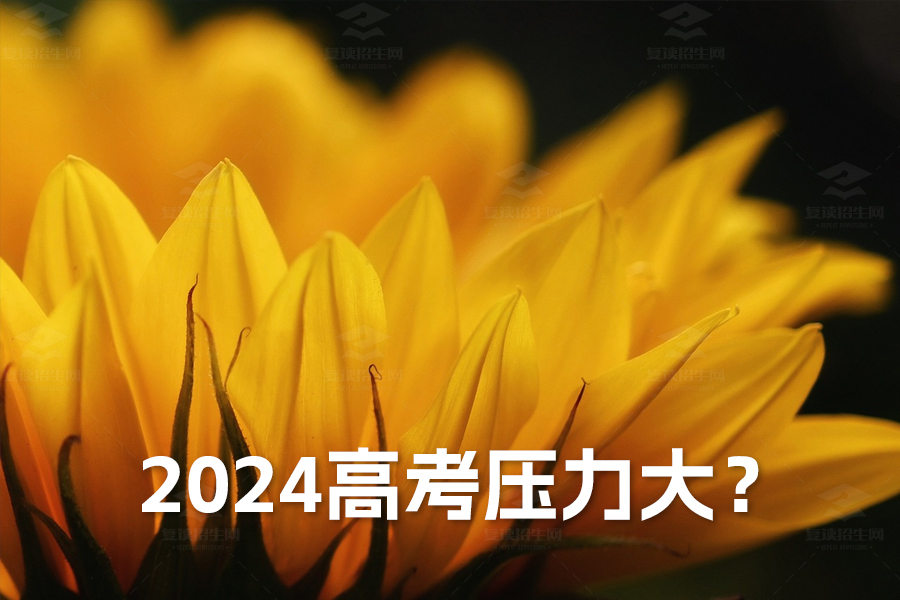 2024高考压力大?三大有效缓解方法助你轻松应考
