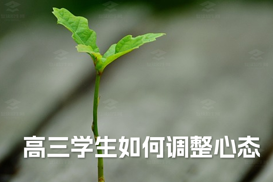 高三学生如何调整心态:四大方法助你轻松迎战高考