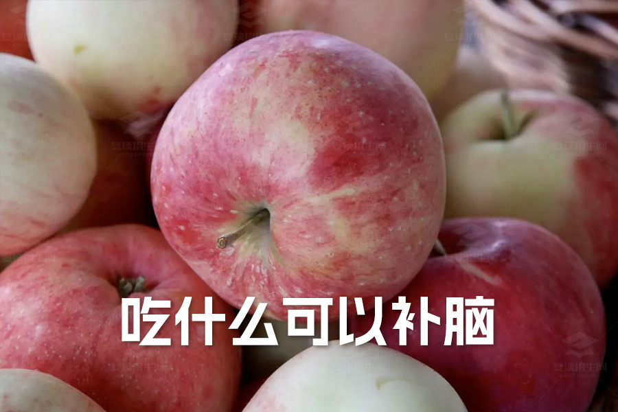 高三学生吃什么可以补脑抗疲劳?科学饮食建议助力高效学习
