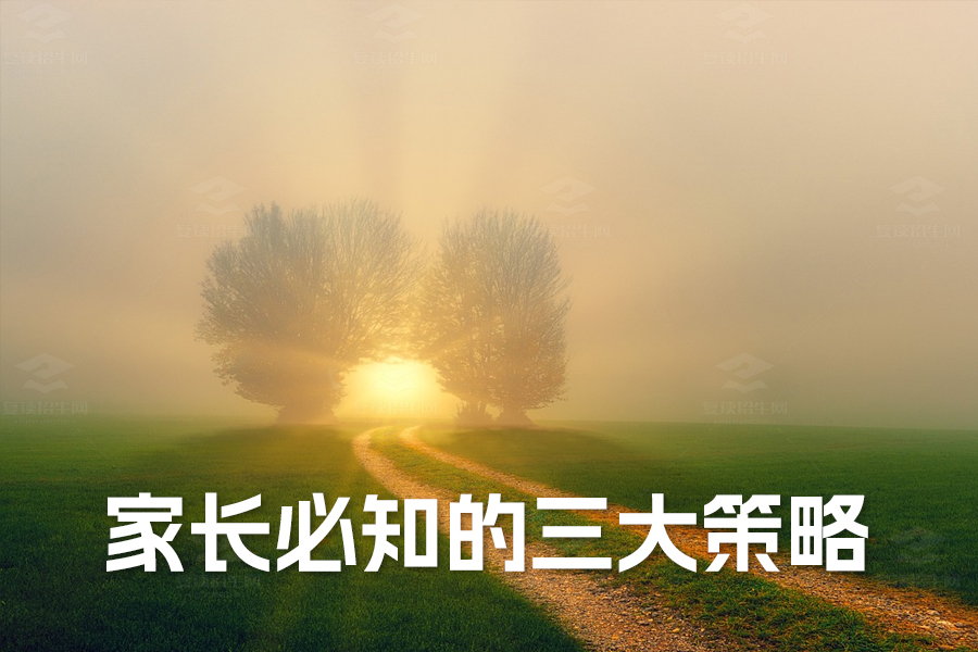 如何助力孩子高考成功:家长必知的三大策略