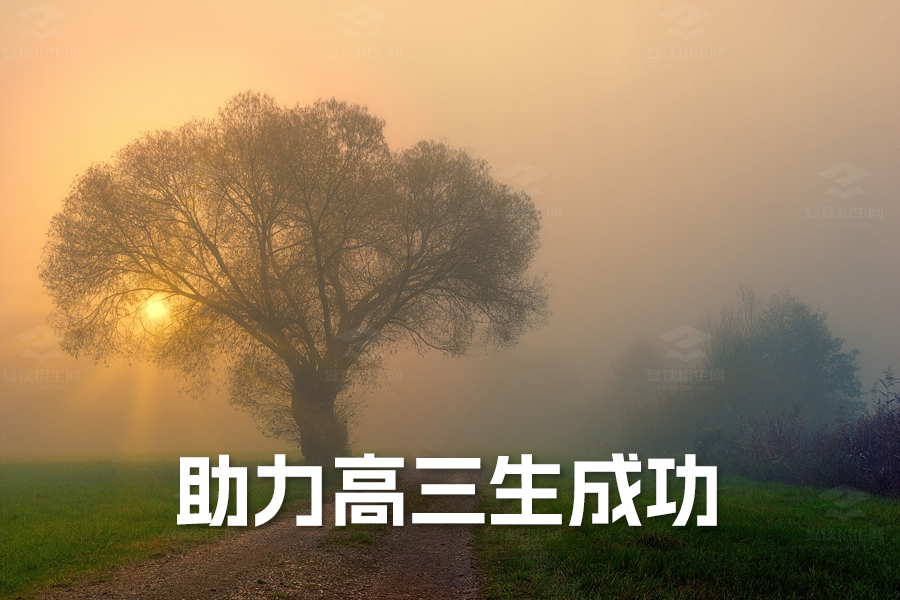 家长必读:助力高三生成功备考的三大黄金法则