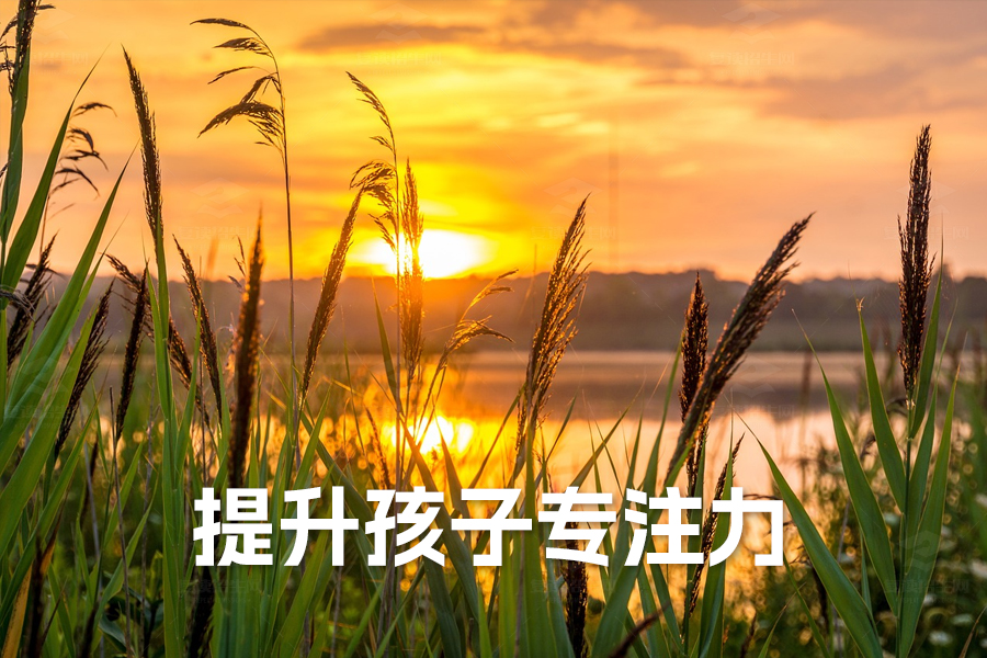 提升孩子专注力的有效策略