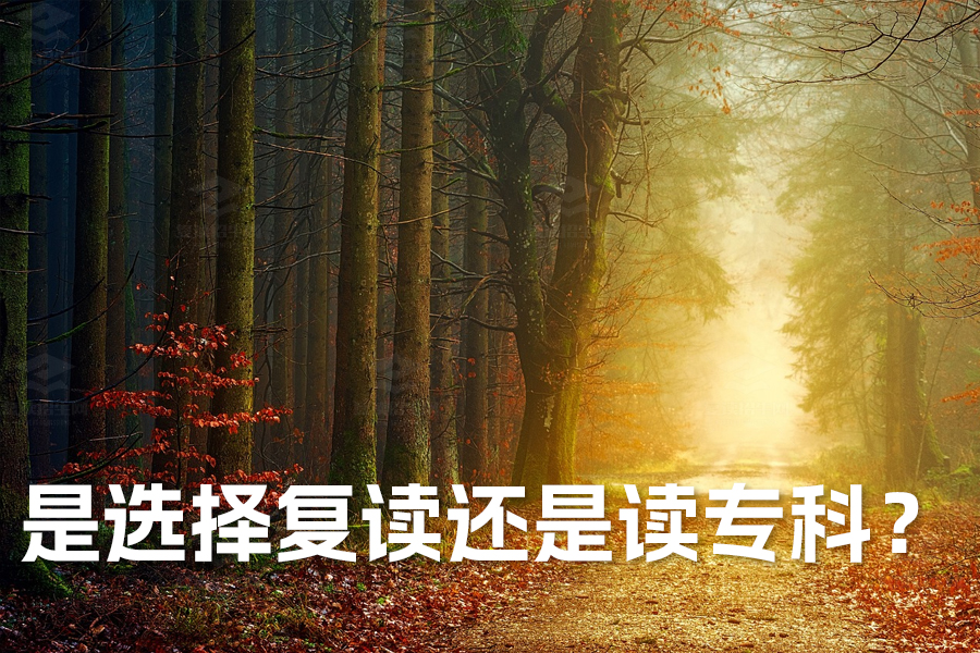 高考落榜:是选择复读还是读专科?