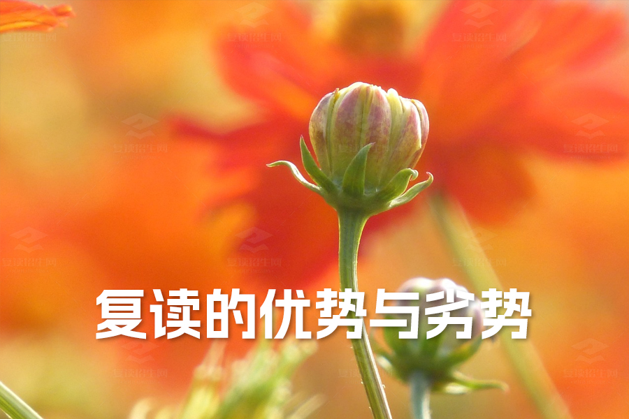 复读的优势与劣势:深入解析助你做出明智选择
