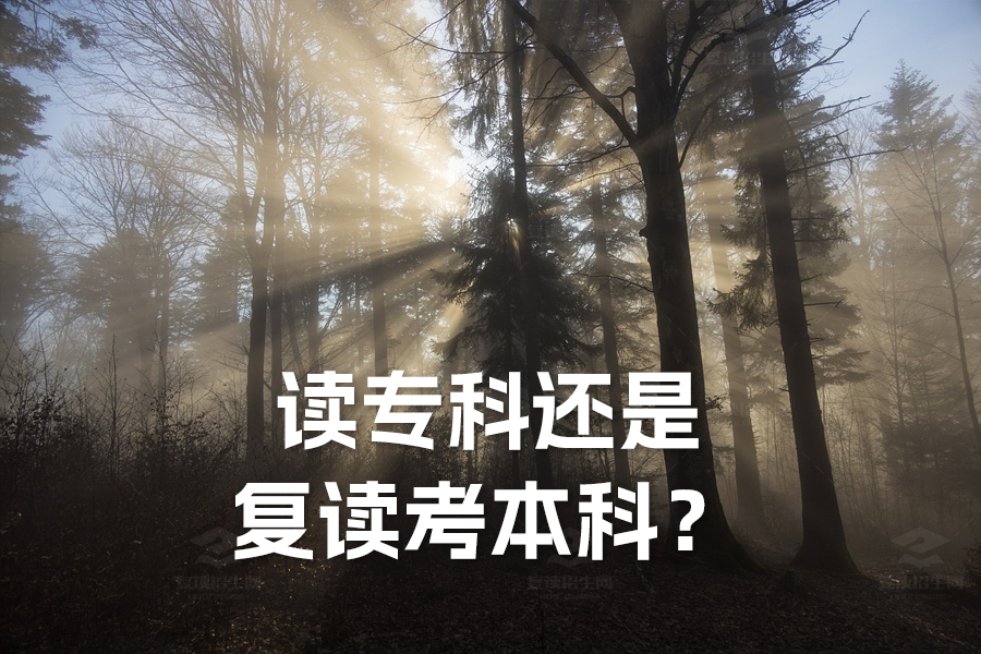 读专科还是复读考本科?全面解析助你做出最佳选择