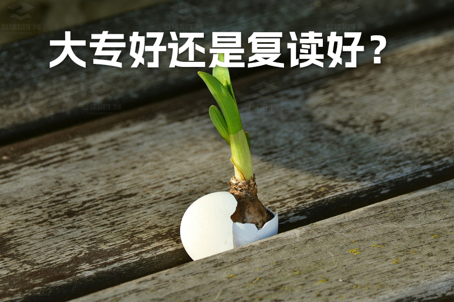 大专好还是复读好?如何做出最佳选择