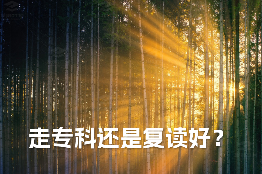 走专科还是复读好?深度解析助你做出最佳选择